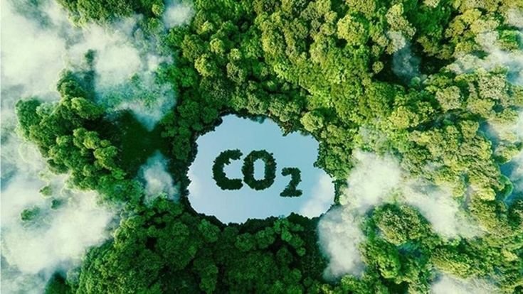 Créditos de carbono biogás